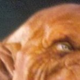 Image for article titled First look at Green Lantern's alien trainer, Kilowog!